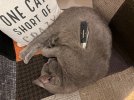 IMG_6803.jpeg