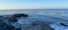 IMG_9482.jpeg