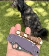 IMG_6868.jpeg