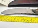 IMG_1386.jpeg