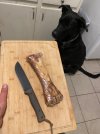 IMG_2277.jpeg