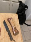IMG_2278.jpeg IMG_2278.jpeg