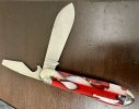 IMG_1358.jpeg