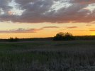 IMG_1091.jpeg