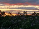 IMG_1094.jpeg