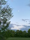 IMG_1095.jpeg