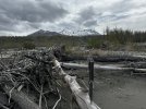 IMG_1873.jpeg
