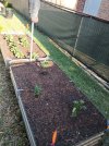 IMG_20260528_072328.jpg