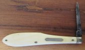 Joseph Rodgers Ivory Quill Knife.JPG