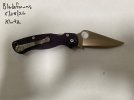 IMG_1648.jpeg