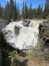 IMG_5576.jpeg