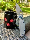 IMG_9915.jpeg