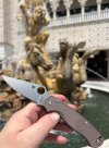 IMG_8206.jpeg