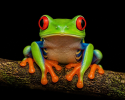 1780110329764.png