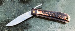 IMG_3944.jpeg