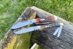 IMG_6993.jpeg