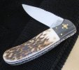Jose Antonio Herreros Stag-Buffalo Slipjoint 2-8.JPG