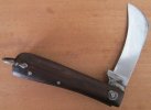 Sheffield Hawkbill 1.JPG