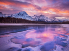 1780154061949.png