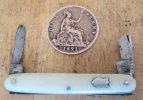 William Rodgers Small Penknife 1.jpg