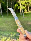 IMG_8622.jpeg