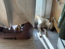 IMG_0395.jpeg