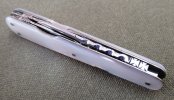 Ibberson Sleeveboard Lobster 1-3.JPG