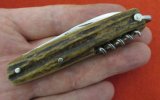 Veritable Issarinox Small Sportsman's Knife 1-2.JPG