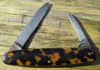 Warranted Tortoiseshell 2-6.JPG