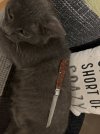 IMG_7700.jpeg