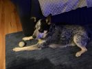 IMG_1751.jpeg