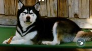 AISelect_20251010_145732_Video Player.jpg