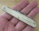 Anon Bone Sleeveboard 1-2.JPG