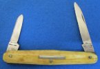 Abram Brooksbank Ivory Pen 1-3.JPG
