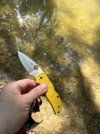 IMG_7054.jpeg