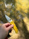 IMG_7054.jpeg