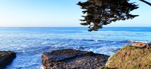 IMG_9860.jpeg