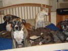 DSC01271.jpg