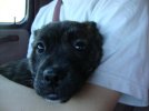 DSC01697-1.jpg