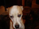 DSC01254.jpg