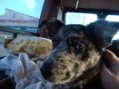 DSC01620.jpg