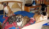 DSC01268.jpg