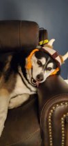 PART_1780363631534_image000001.jpg PART_1780363631534_image000001.jpg