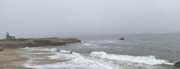 IMG_1674.jpeg