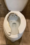 1780443434035.png