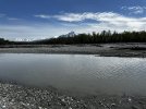 IMG_1967.jpeg