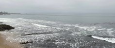 IMG_9883.jpeg