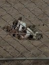 PXL_20260603_201659110.jpg PXL_20260603_201659110.jpg