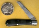 Buttery Gabon 1.jpg