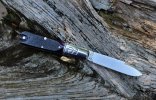 IMG_4027.jpeg